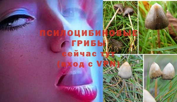 гашиш Абинск