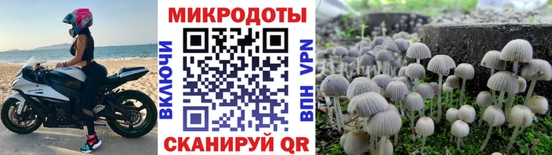 omg ссылка  Черногорск  Псилоцибиновые грибы ЛСД  цены  