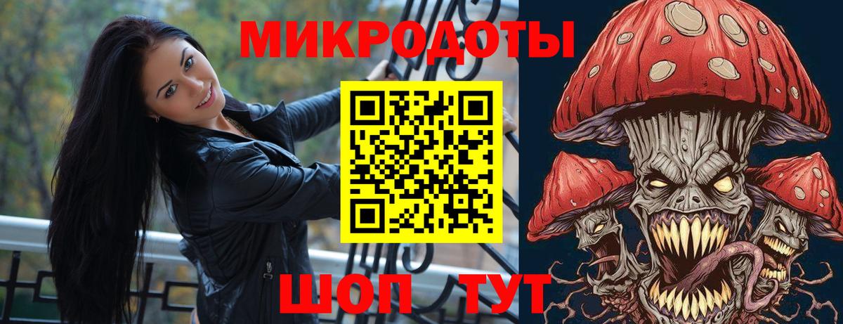 Псилоцибиновые грибы Psilocybe Черногорск