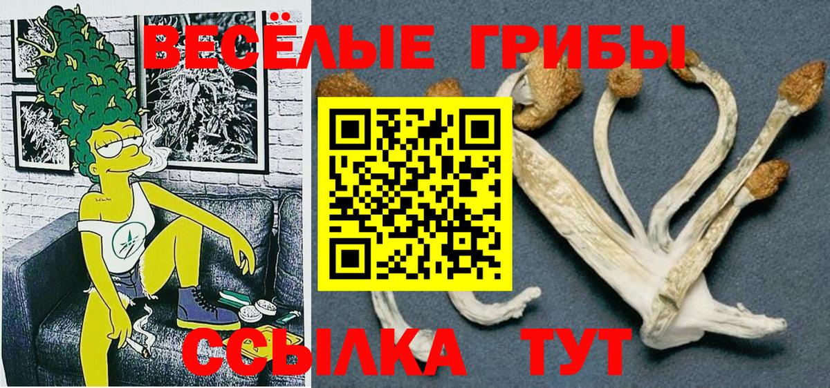 Псилоцибиновые грибы мицелий  Вход с VPN  Черногорск  Галлюциногенные грибы мухоморы 